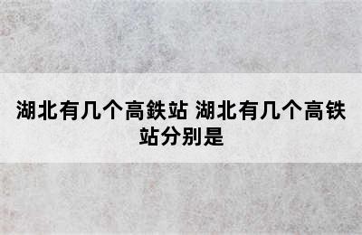 湖北有几个高鉄站 湖北有几个高铁站分别是